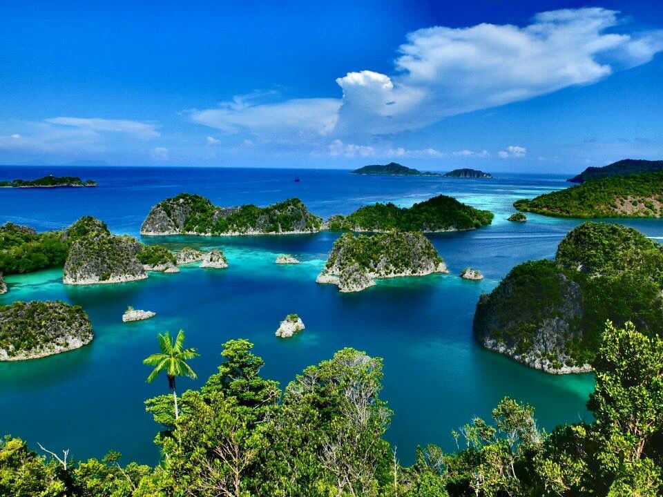 Raja Ampat – The Underwater Paradise of Eastern Indonesia